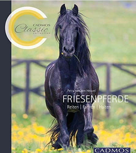 Friesenpferd