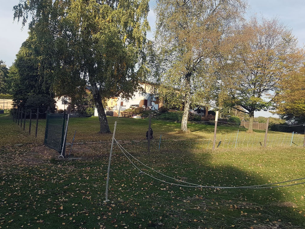 Pferde zuhause halten