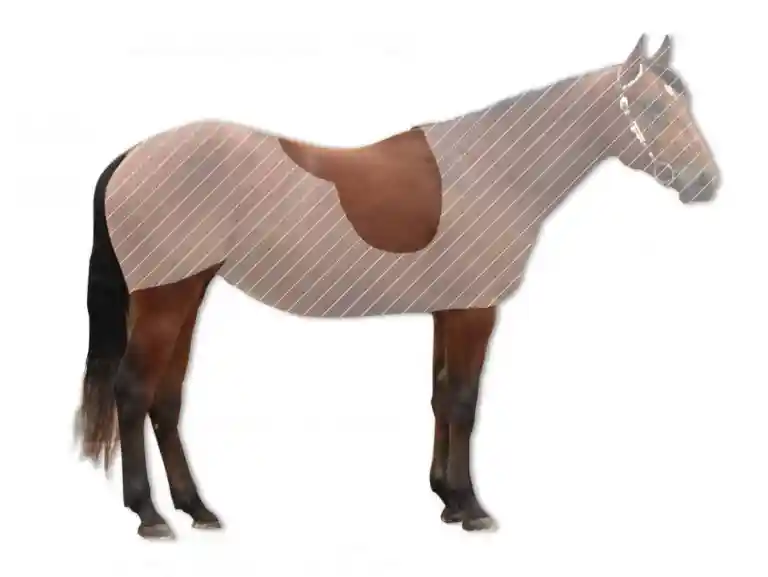Pferd scheren