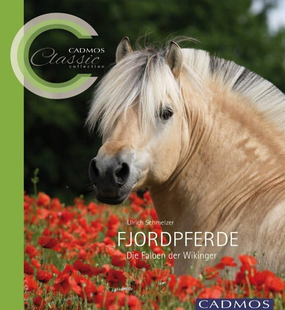 Fjordpferd kaufen
