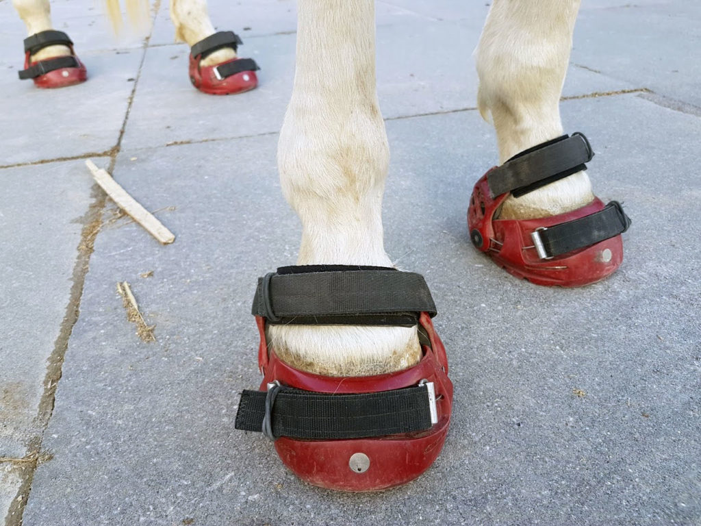 Hufschuhe