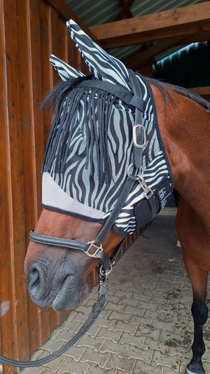 Brauner Pferdekopf mit Zebra-Maske ohne Zebra-Fliegendecke