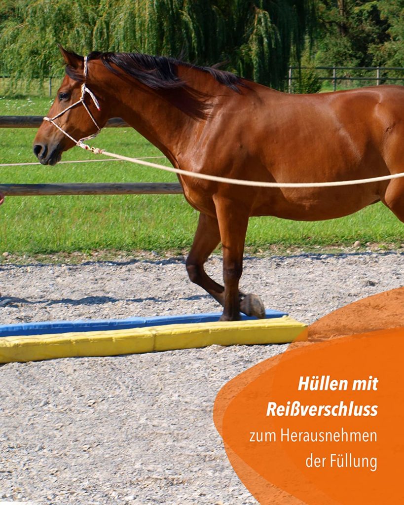 Duale Aktivierung