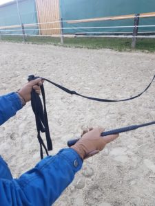 longieren mit Kappzaum