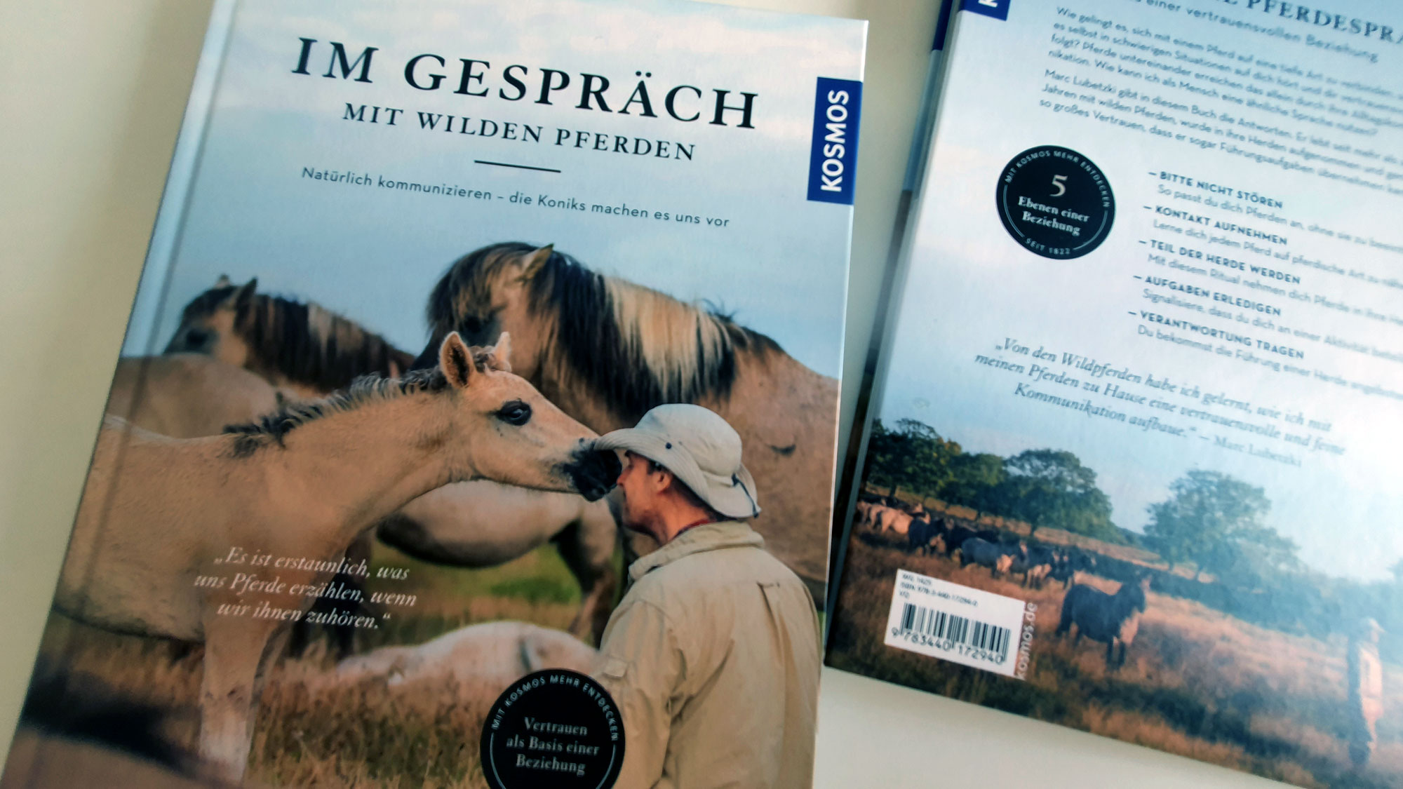 Im Gespräch mit wilden Pferden