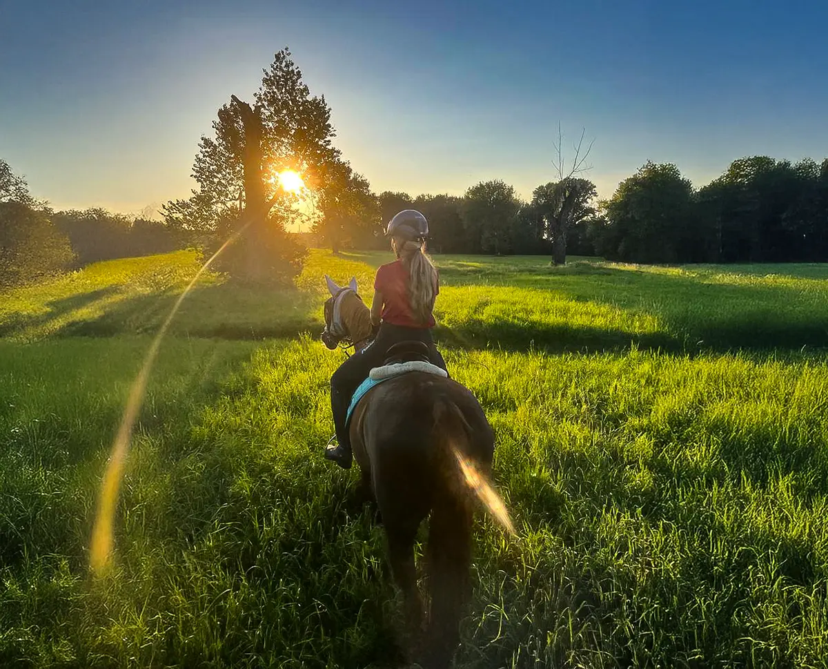 Erstes eigenes Pferd kaufen - Frau reitet in aufgehende Sonne